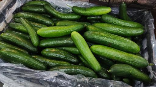 میوه سرای نواب