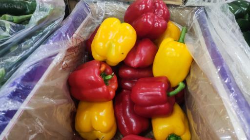 عکس میوه سرای نواب