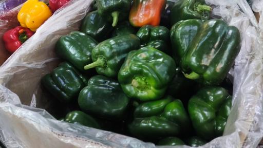 میوه سرای نواب