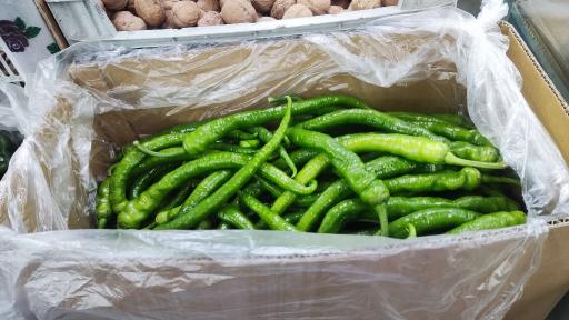 عکس میوه سرای نواب