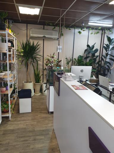 عکس آسا الکترونیک