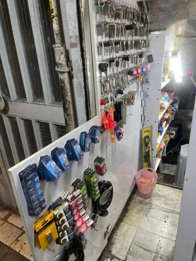 عکس کلید سازی و ریموت نیلوفر