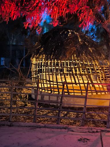 عکس هتل بین المللی شاهان