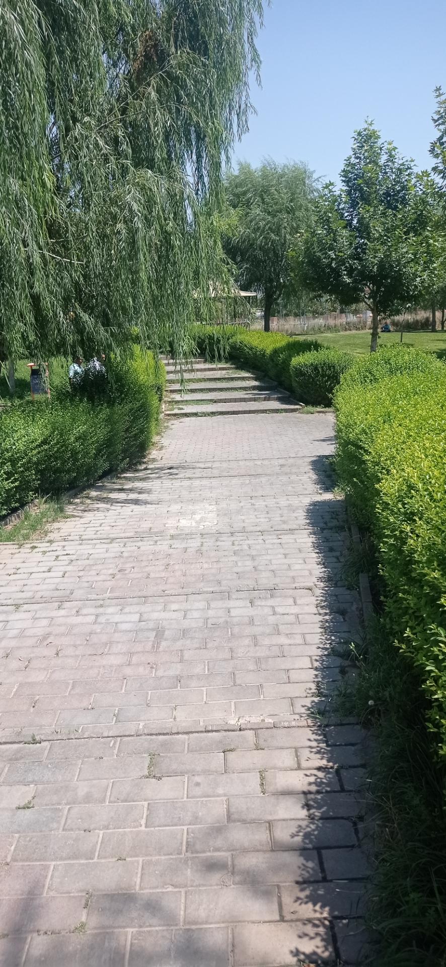 عکس پارک شیخ عبدالعزیز