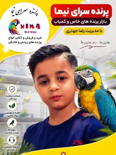 پرنده سرای نیما 