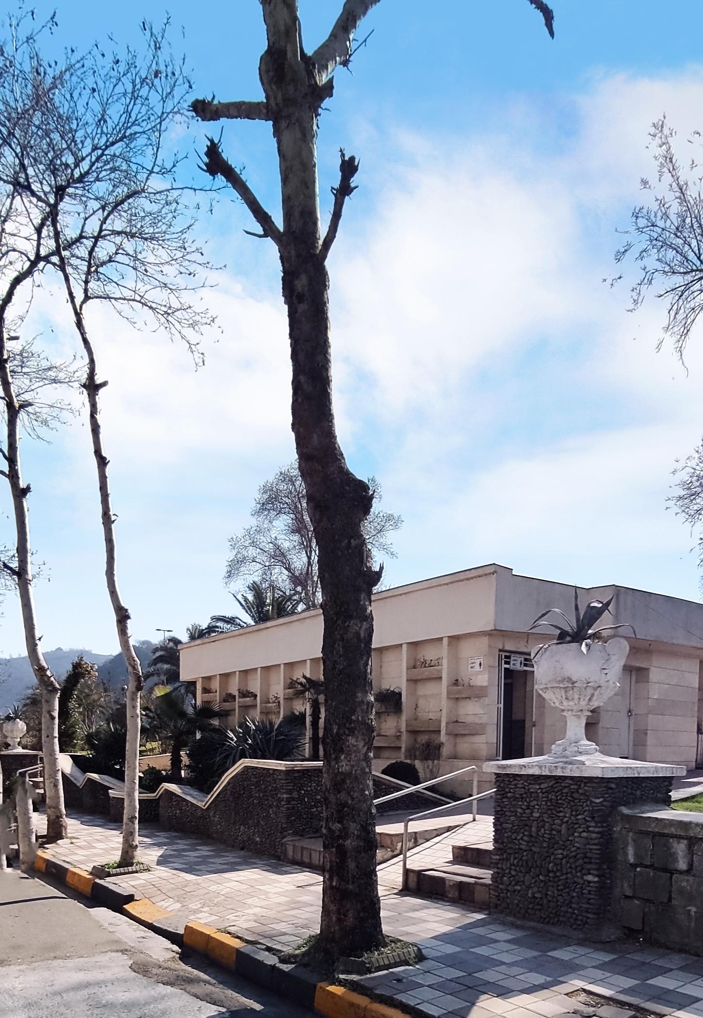 عکس سرویس بهداشتی عمومی