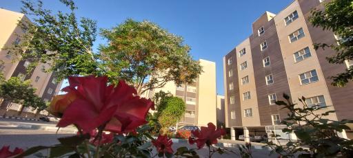 عکس مجتمع مقدس اردبیلی