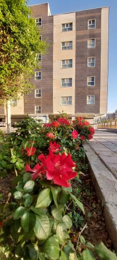 عکس مجتمع مقدس اردبیلی