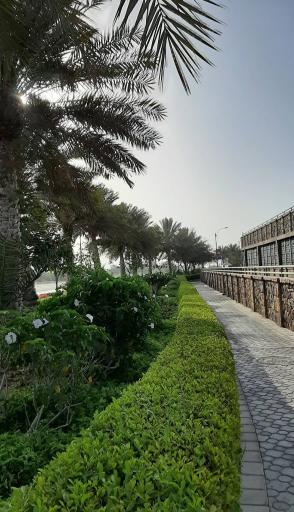 عکس تم پارک آبی اوشن کیش