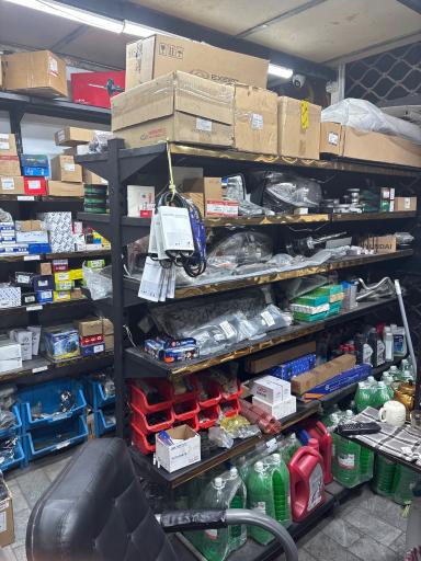 عکس چین یدک پاکدشت