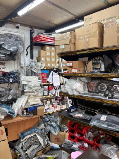 چین یدک پاکدشت