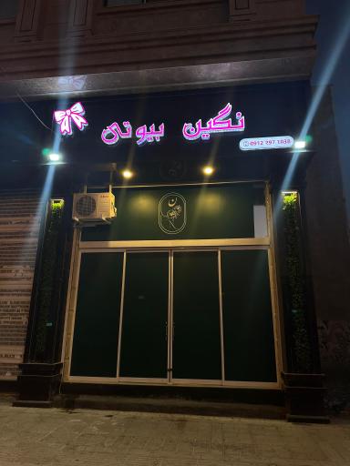 عکس نگین بیوتی