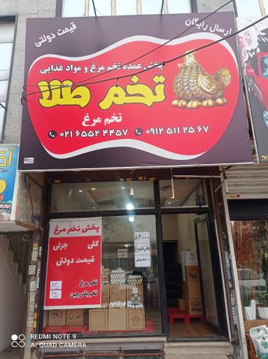 عکس پخش تخم مرغ تخم طلا