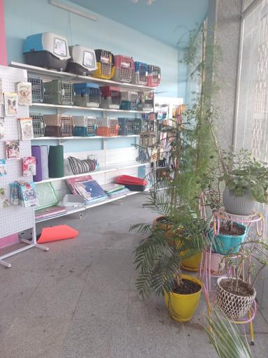 عکس داروخانه دامپزشکی و پت شاپ بهمن