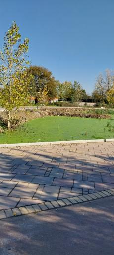 عکس تالاب طبیعی حاجی آباد