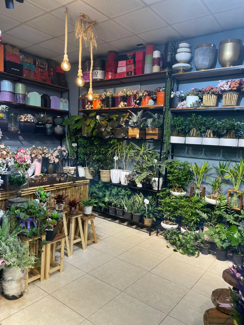 عکس قصر گل رحیمی