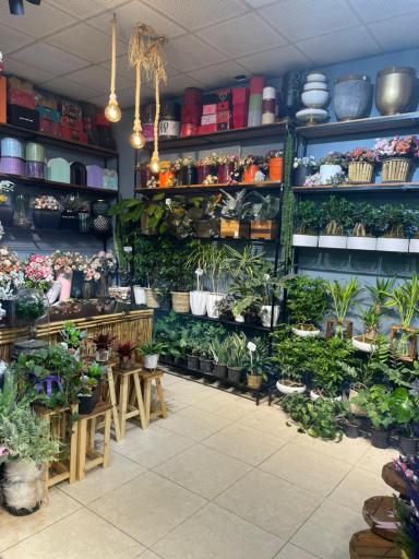 عکس قصر گل رحیمی