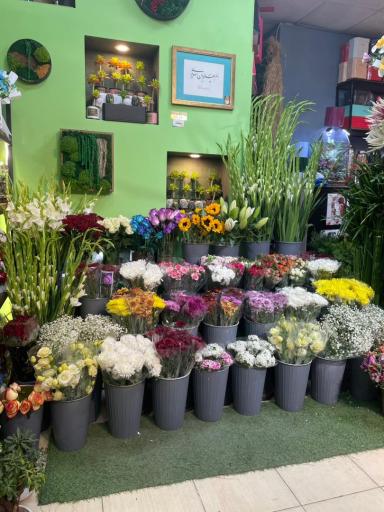 عکس قصر گل رحیمی