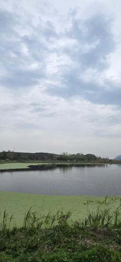 عکس تالاب طبیعی حاجی آباد