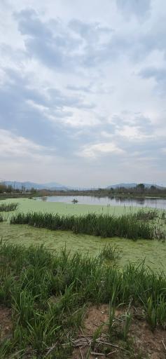 عکس تالاب طبیعی حاجی آباد