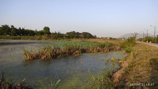 عکس تالاب طبیعی حاجی آباد