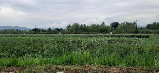 عکس تالاب طبیعی حاجی آباد