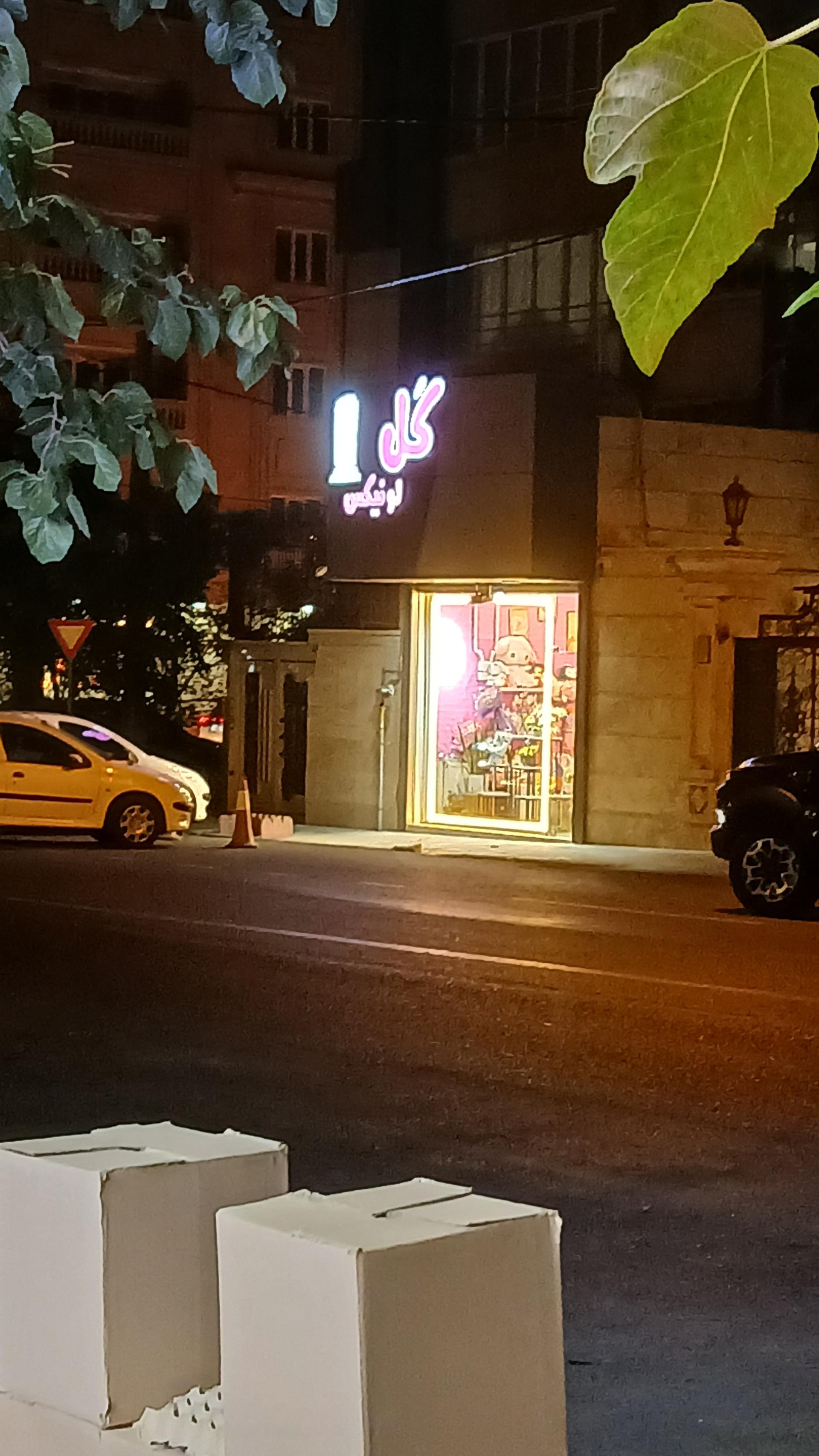 عکس گل فروشی لونیکس