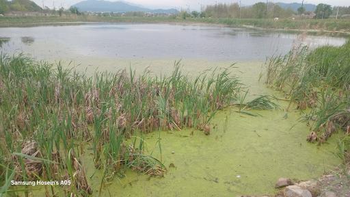 عکس تالاب طبیعی حاجی آباد