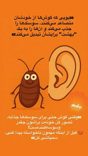 عکس شرکت سمپاشی نوآوران سم