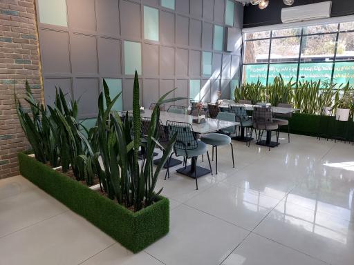 رستوران میداس