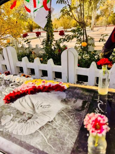 عکس مزار پوریا رازانی