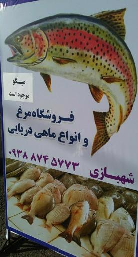 فروشگاه مرغ و ماهی دریایی