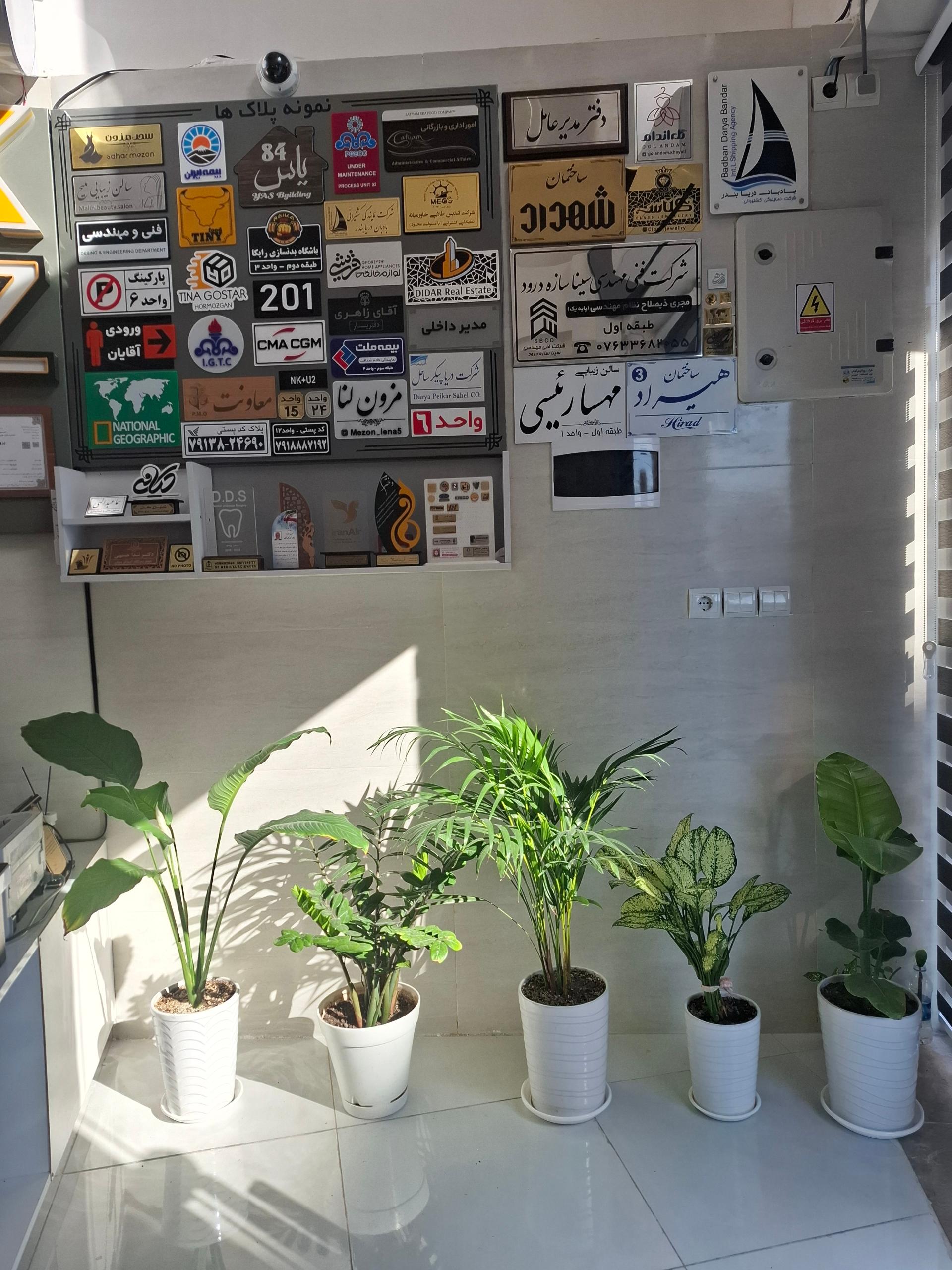 عکس تابلوسازی کیانی 