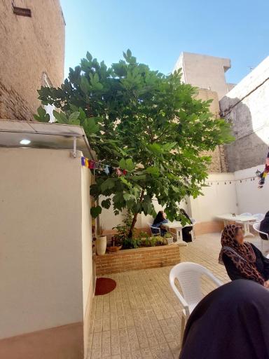 عکس بوفه انجیر