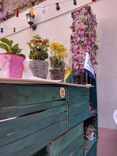 عکس بوفه انجیر