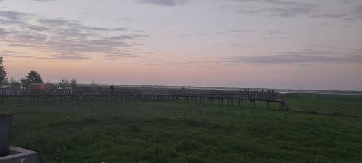 عکس اسکله و پل چوبی آبکنار