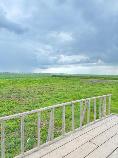 عکس اسکله و پل چوبی آبکنار