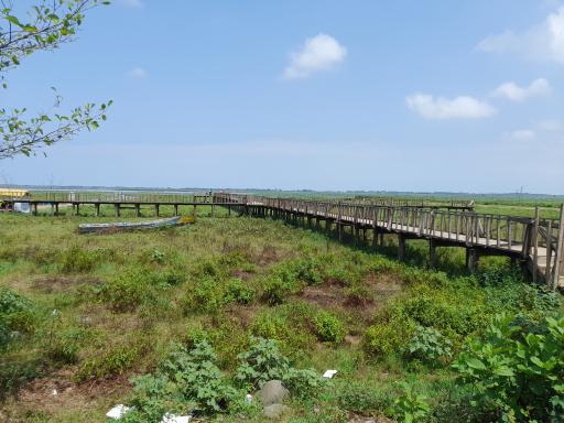 عکس اسکله و پل چوبی آبکنار