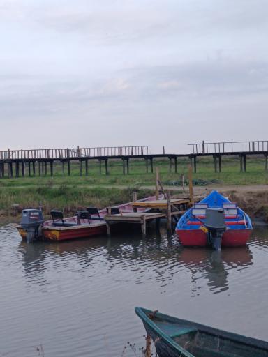 عکس اسکله و پل چوبی آبکنار