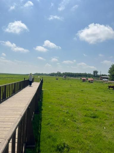 عکس اسکله و پل چوبی آبکنار