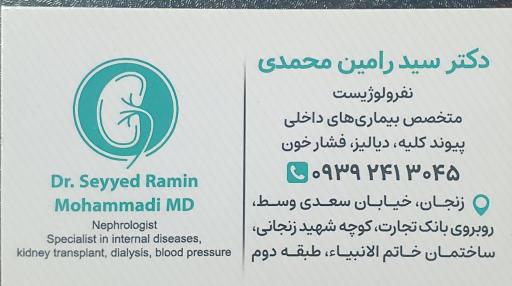 عکس دکتر سید رامین محمدی متخصص داخلی نفرولوژیست