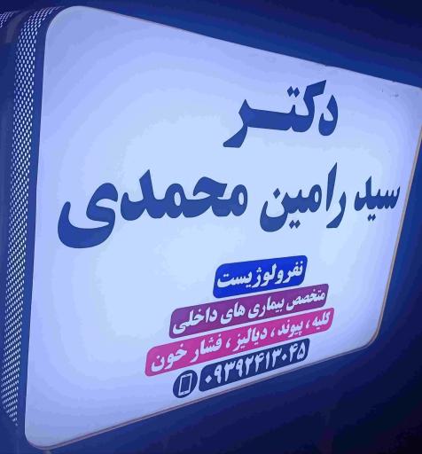 عکس دکتر سید رامین محمدی متخصص داخلی نفرولوژیست
