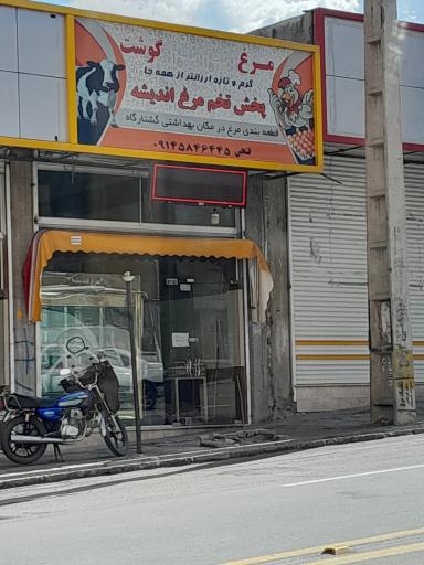 عکس پخش تخم مرغ اندیشه