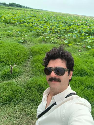 عکس اسکله و پل چوبی آبکنار