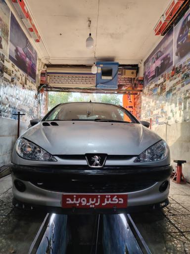 عکس دکتر زیروبند
