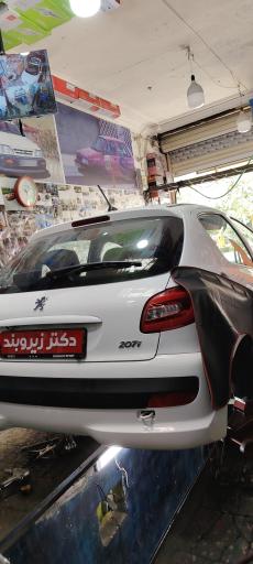 عکس دکتر زیروبند