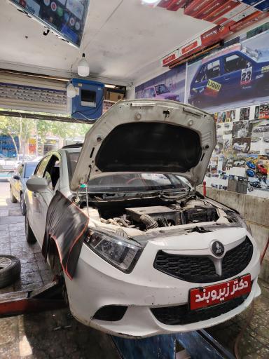 عکس دکتر زیروبند