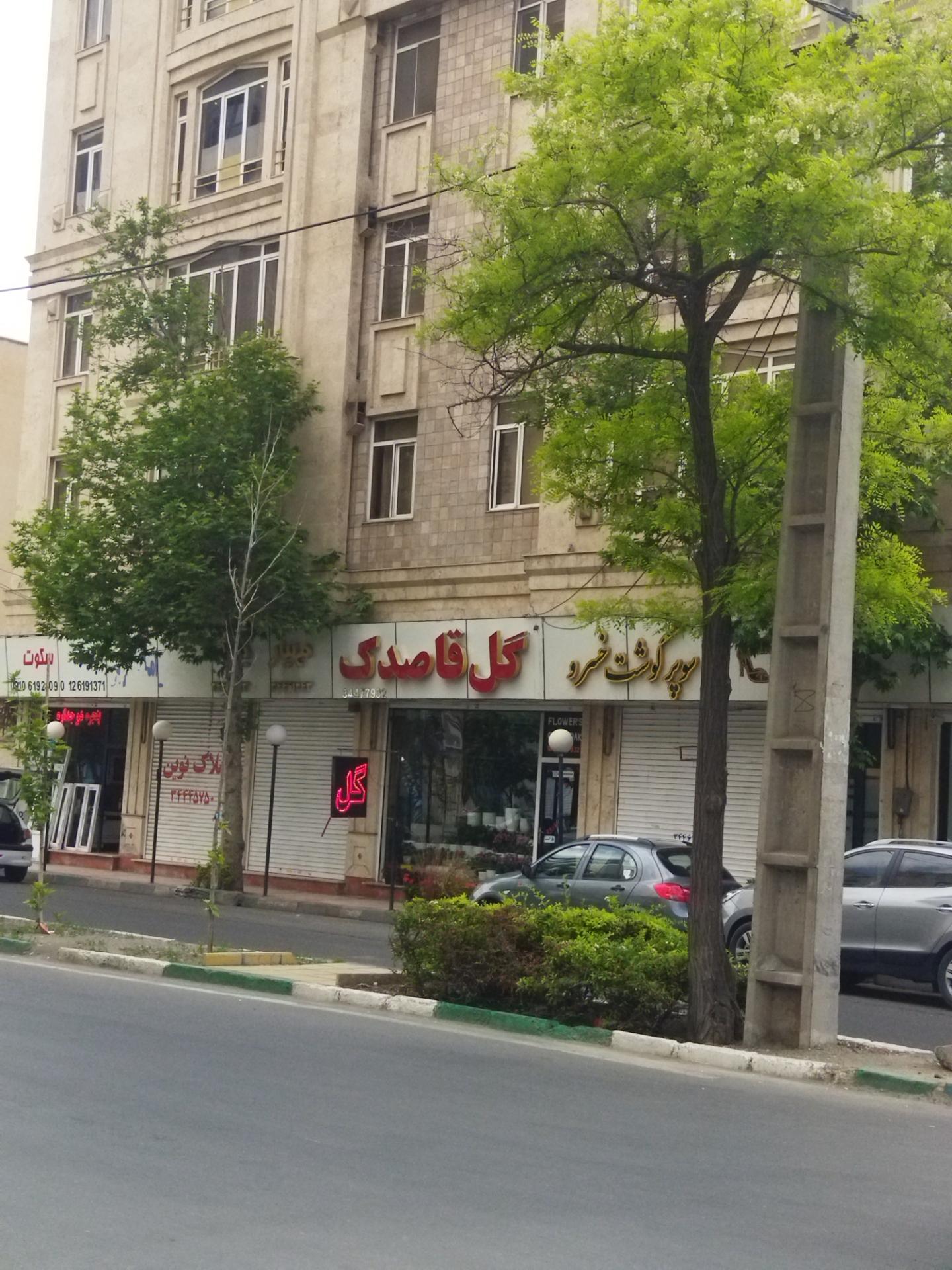 عکس گل فروشی قاصدک