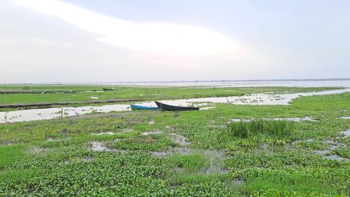 عکس اسکله و پل چوبی آبکنار