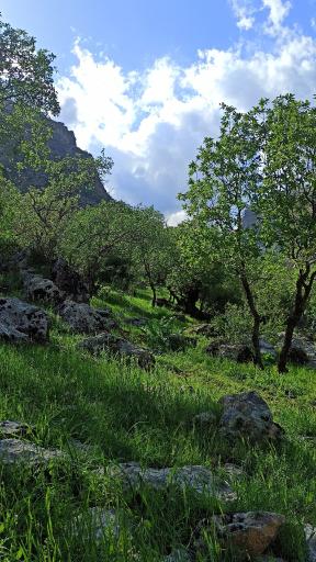 عکس آسمان آباد